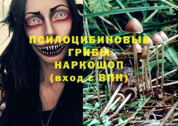 молекула духа Абаза