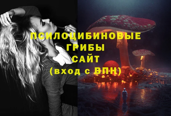 ECSTASY Абинск