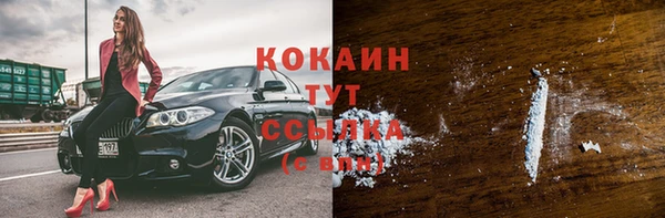 молекула духа Калининец