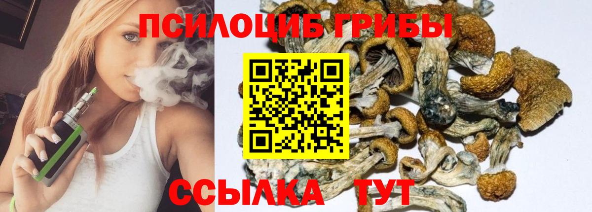 Чита  Псилоцибиновые грибы мухоморы  Вход с VPN 