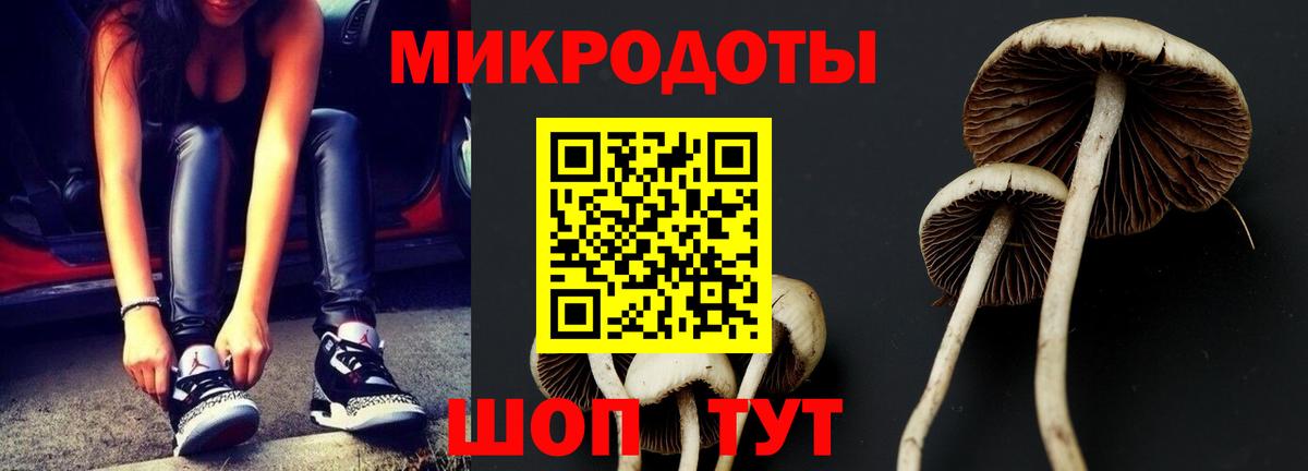 Псилоцибиновые грибы ЛСД Чита