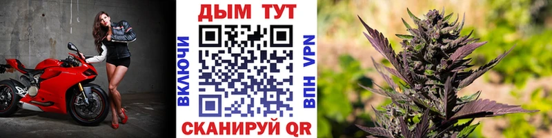 закладка  Чита  Конопля индика 